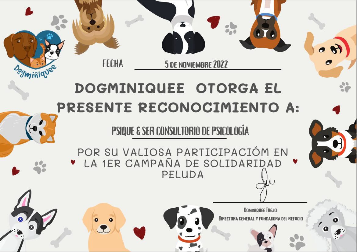 Dogminiquee primera campaña de solidaridad - image 0